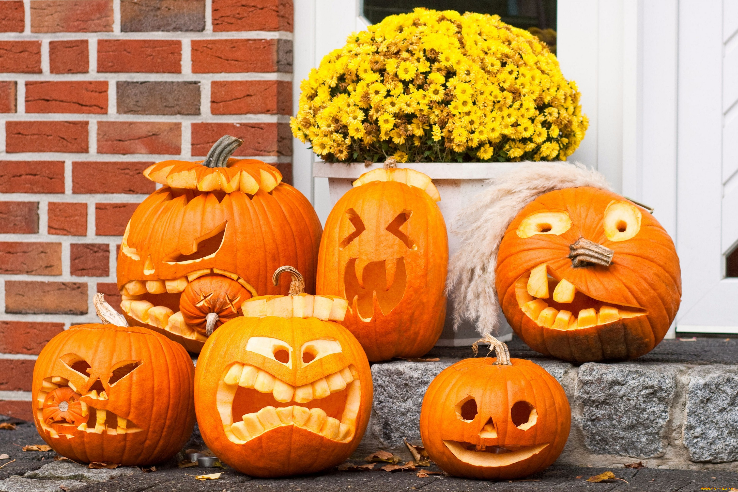 , , halloween, , , 